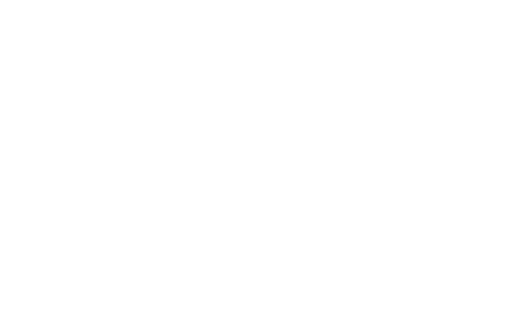 Marko Mihajić — NLP Master Practitioner